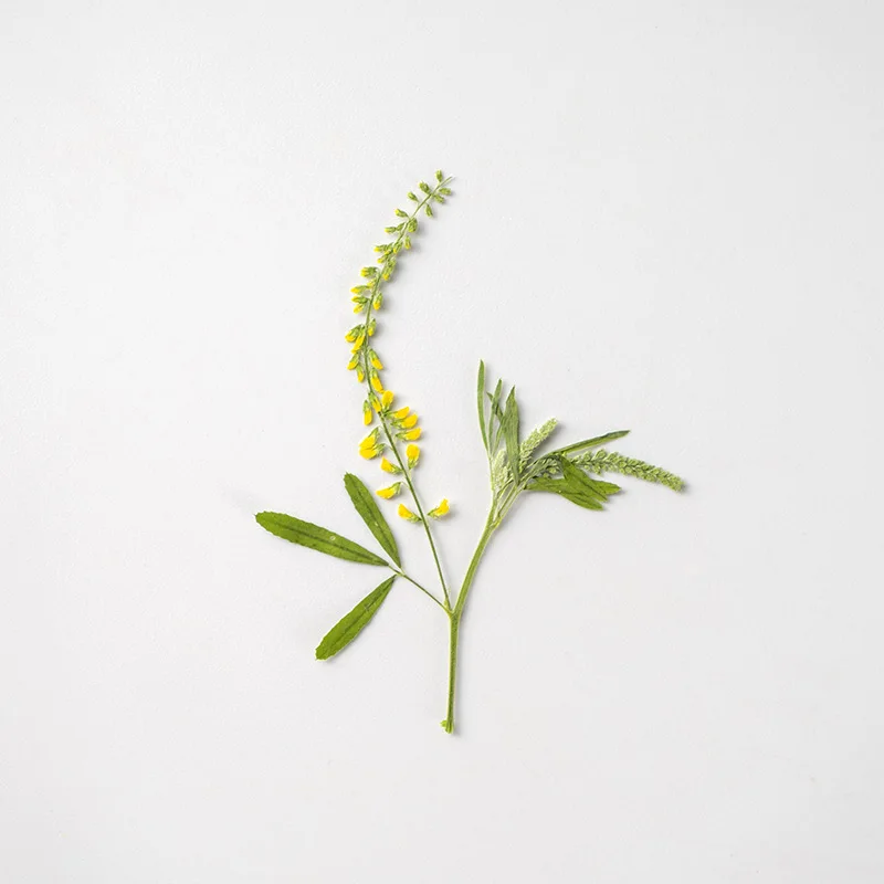 48Pcs Natural Plant Specimens Pressed Flowers, Osmanthus Flower Branches, Pressed Flowers, Dried Flowers, Plant Specimens, Tree Leaves, Handmade Stickers, Resin DIY Bookmark Materials