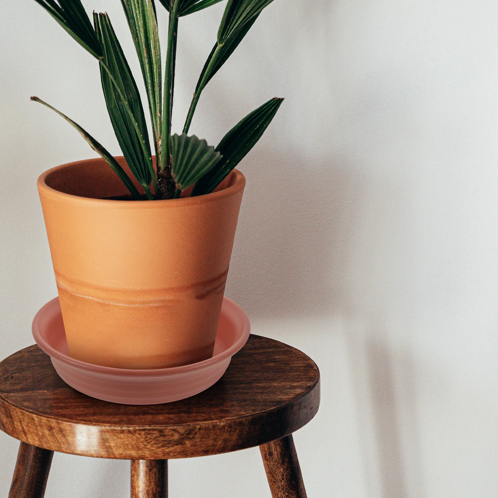 

2pcs Resin Plant Saucers 10Cm Round Small Saucer For Indoor Outdoor Potted Plants Flower Pot Trays Drainage Drip Tray