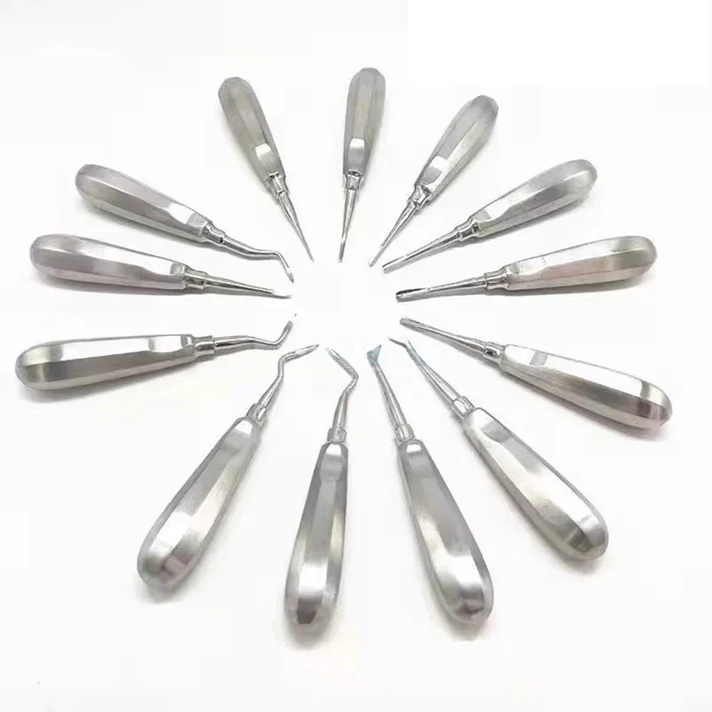 1 قطعة مواد طب الأسنان الفولاذ المقاوم للصدأ استخراج الأسنان أدوات جراحية مستقيم منحني البلوط الجذع الجذر تلميح رفع عيادة طبيب الأسنان #1