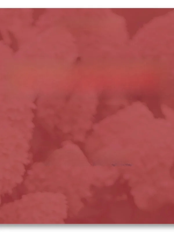 

ort Outerwear Collection Autumn Casual Versatile Women's Tops Long Sve Stand Fit Linjou Ladies Faion Spring