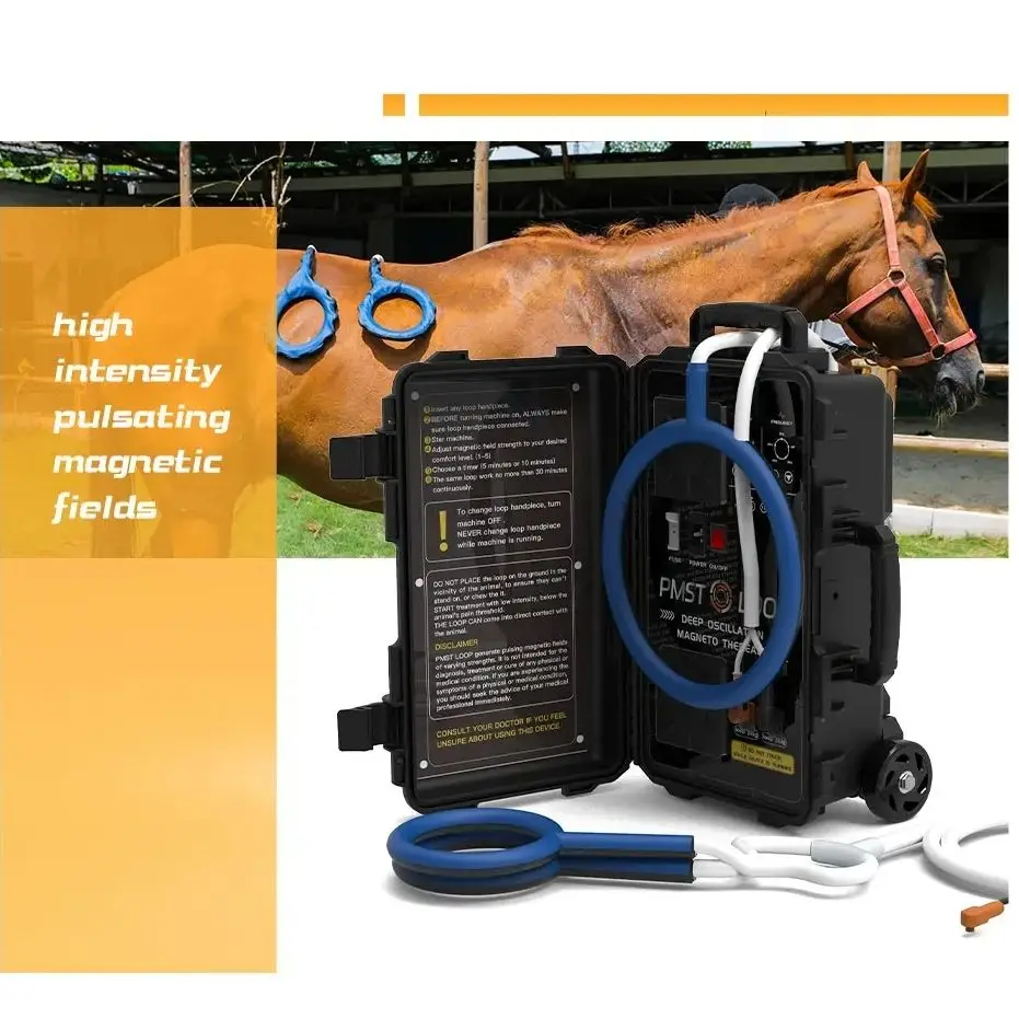 

6000GS PEMF Vet Physiotherapy Device Animals Physical Treatments Pmst Loop for Horse Pain Relief Magnetic Therapy Machine