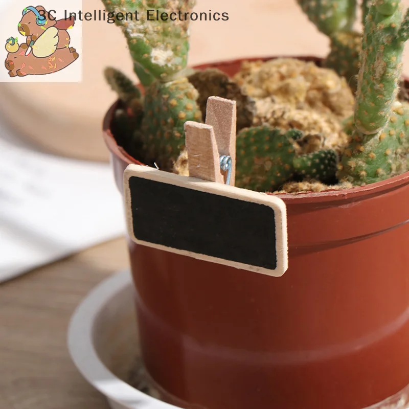 

Fifty Mini Blackboard Wooden Message Slates In Rectangular Shape With Clips, Serving As Panel Cards For Memos And Labels.