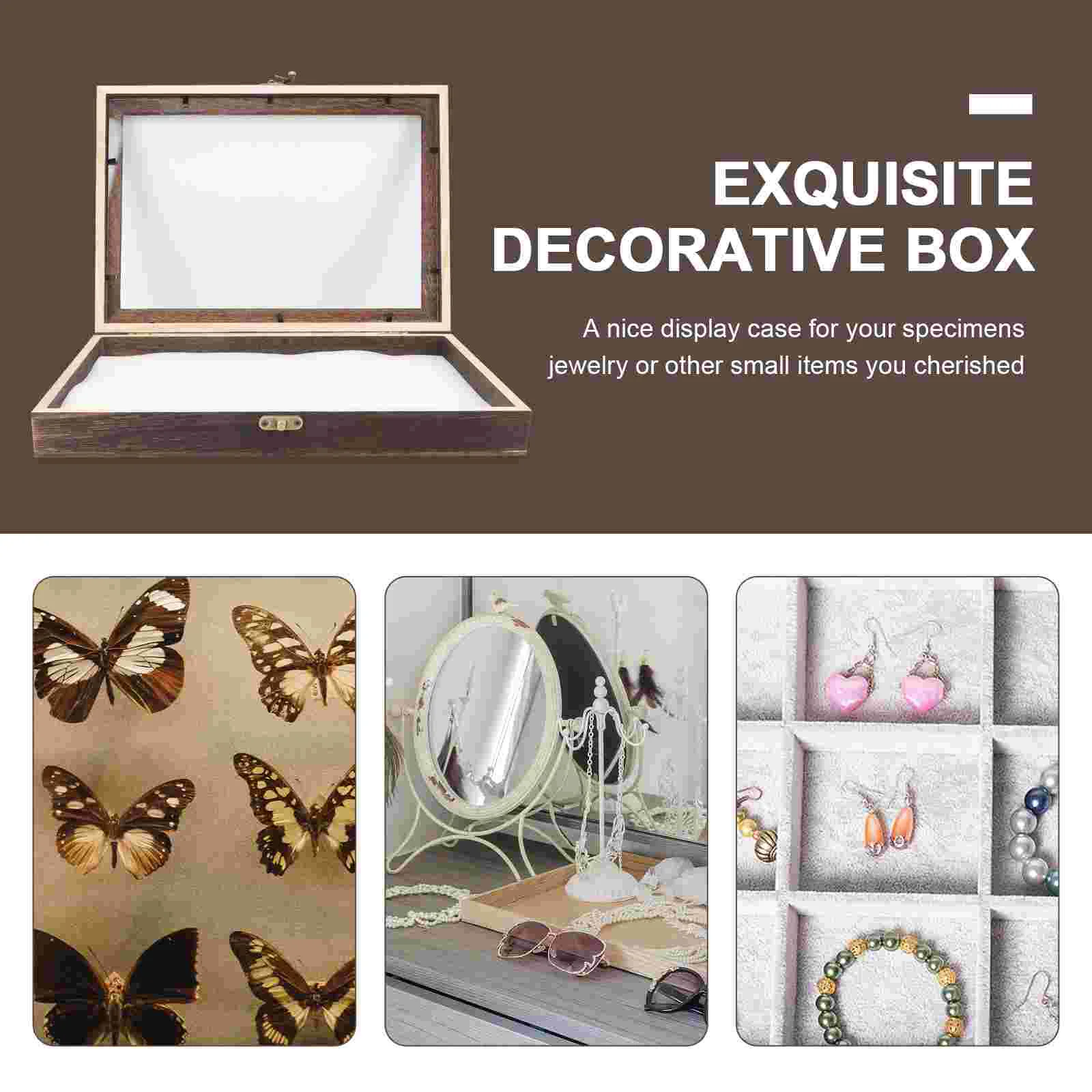 Display Case Box Specimen Shadow Insect Frame Wooden Boxes Picture Wood Moth Pin Shadowbox Collection Bug Medal Jewelry Photo