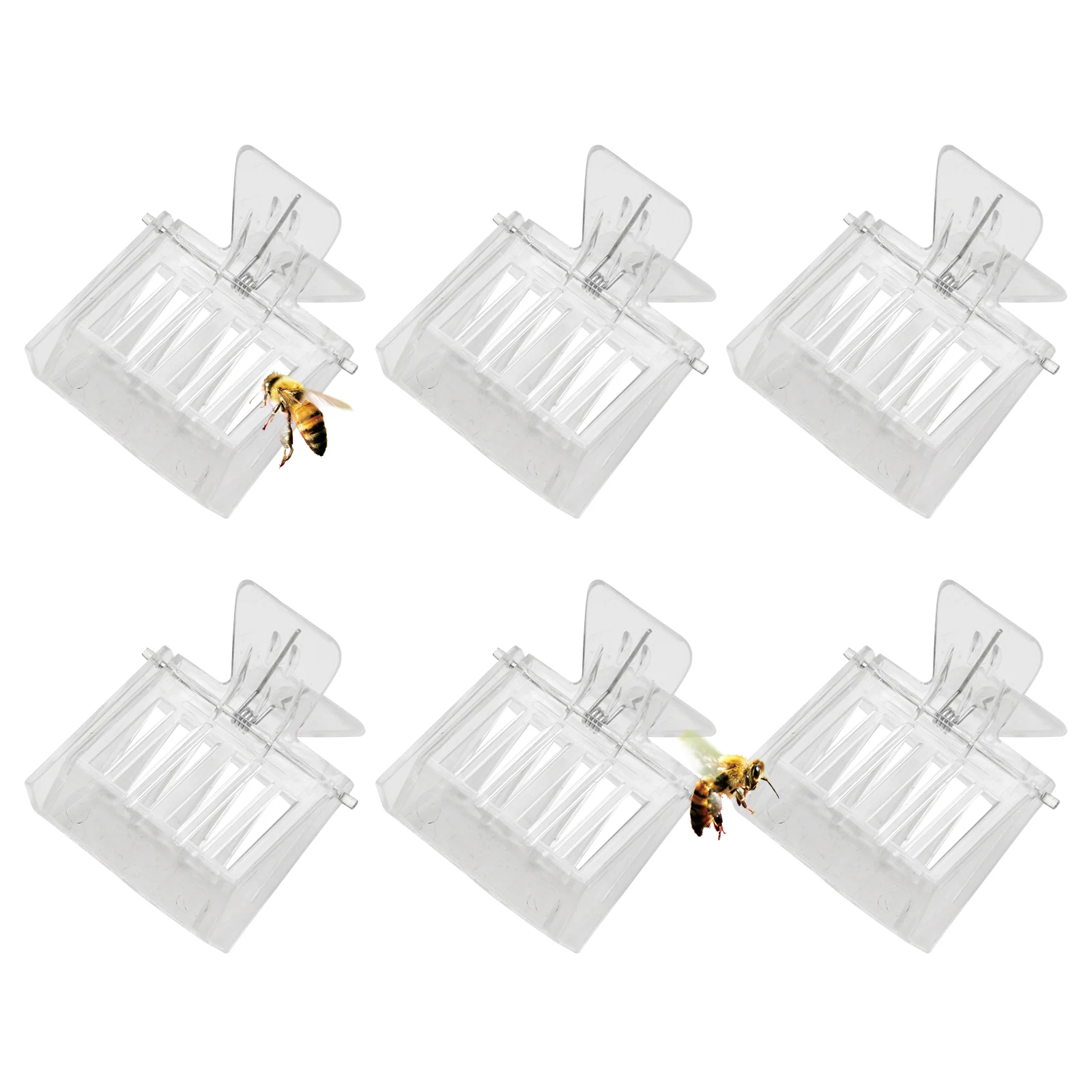 6/12Pcs Queen Bee Cages Clip Bee Catcher Clear Plastic Clip Cage Beekeeping Equipment Tool Beekeeper Equip Isolation Room