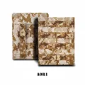 AOR1