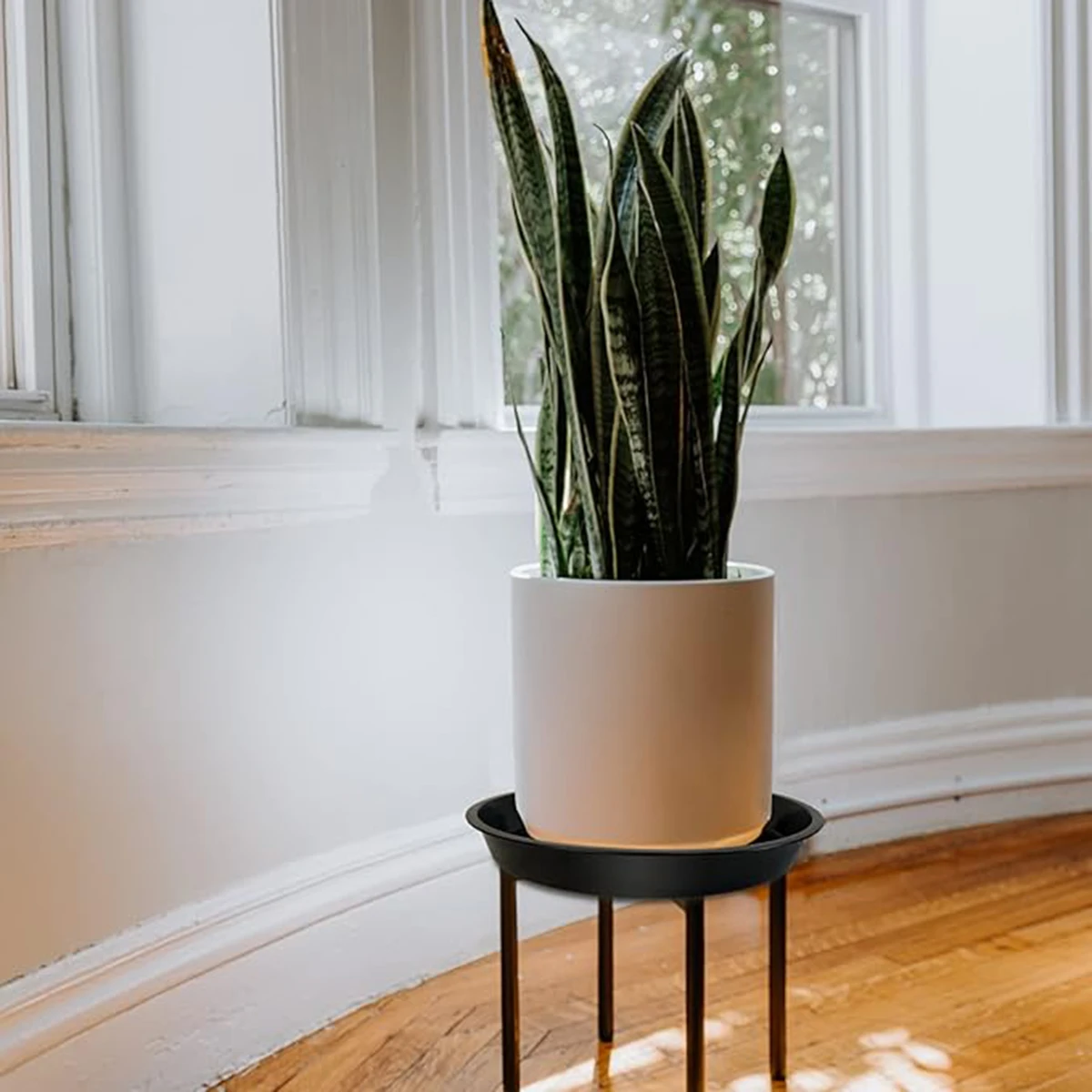 Thumbnail 3 - #1 Best Garden Pot Saucers & Trays to Buy In 2026