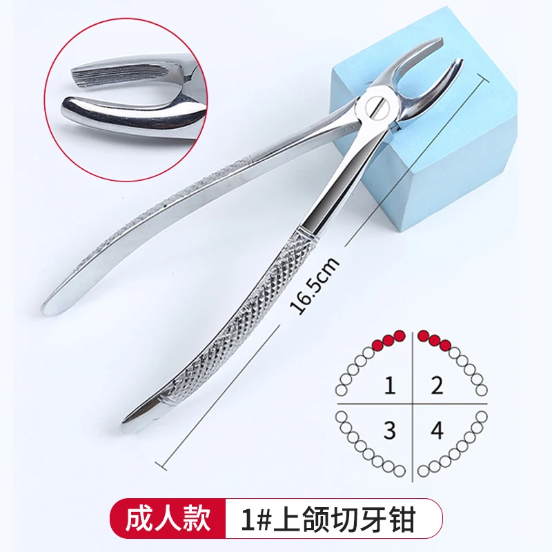 Adult Tooth Extraction Forceps Wisdom Tooth Deciduous Tooth Forceps Maxillary and Mandibular Tooth Forceps Dental Oral