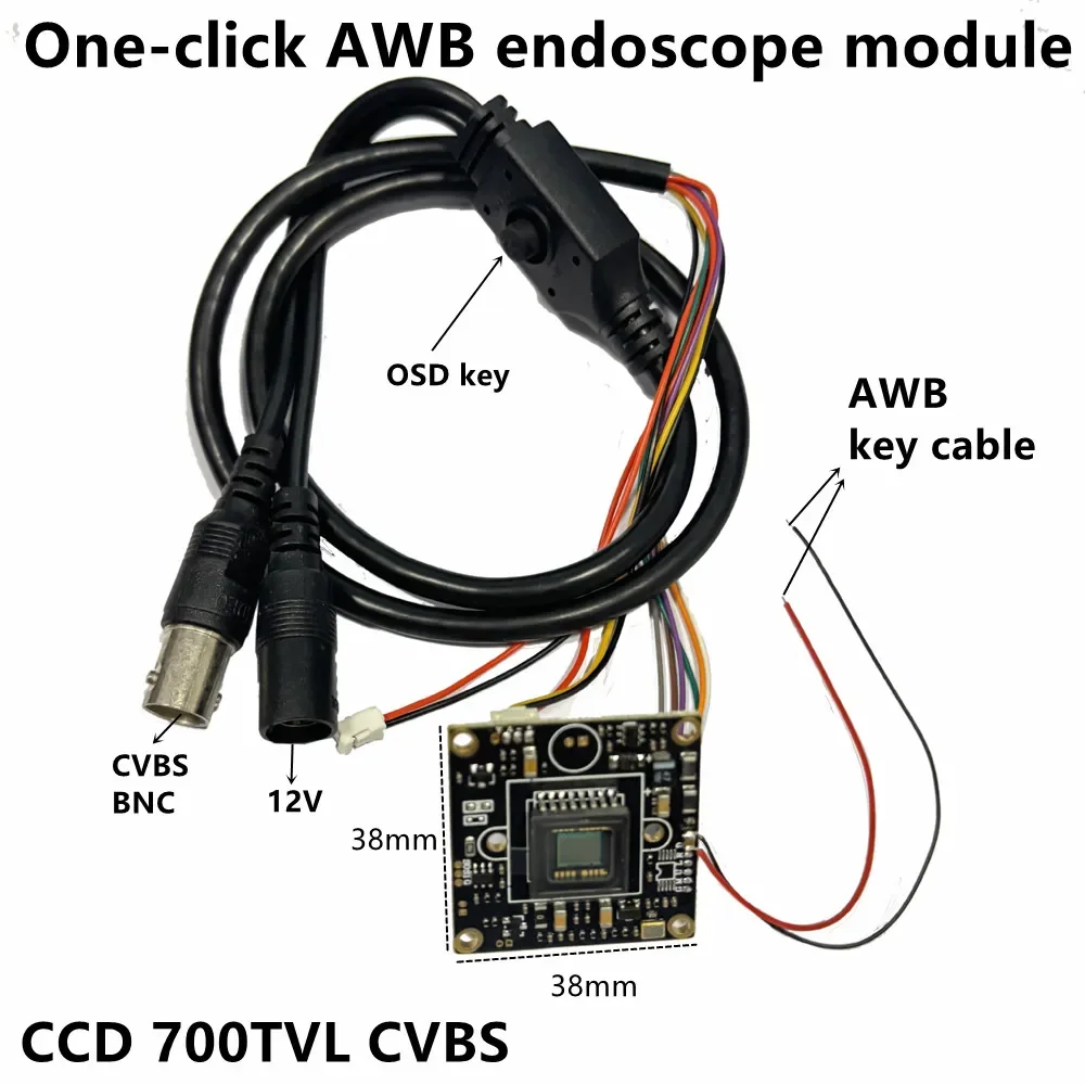 

One-click AWB Endoscope Module PCB 700TVL CCD Color Camera Module Movement Animal Veterinary Medical Endoscope Module AWB OSD