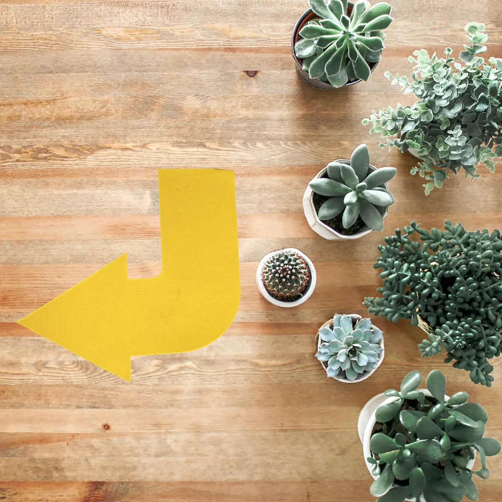 

4pcs Landmark Mats Spot Markers Lightweight Durable Gym Training Tools Non Slip Floor Circle Pads Storage Friendly For Sports