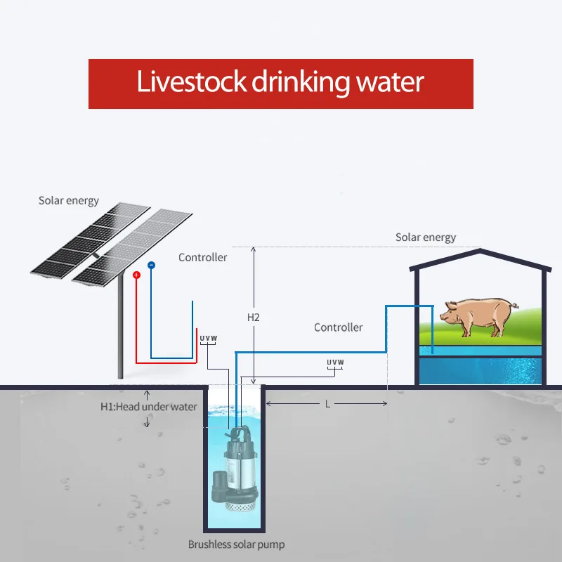 DC Solar Stainless Steel Pump 2 Inches 24V 200W High Head Large Flow Rate Brushless DC Submersible for Water Pumping Irrigation