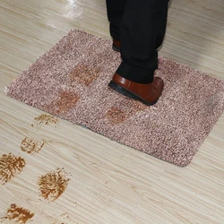 Indoor Super Absorbs Doormat PVC Backing Non Slip Door Mat for Small Front Door Inside Floor Dirt Trapper Cotton Entrance Rug