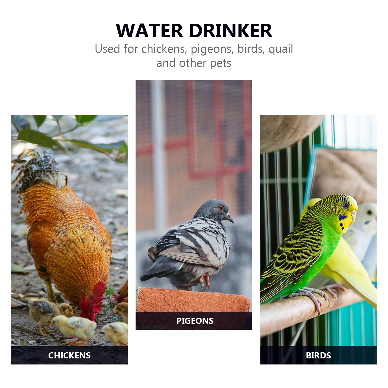 

15Pcs Chicken Waterer Automatic Drinking Bowl Durable Plastic Poultry Breeding Home Farm Pigeon Quail Drinkers Water Cups