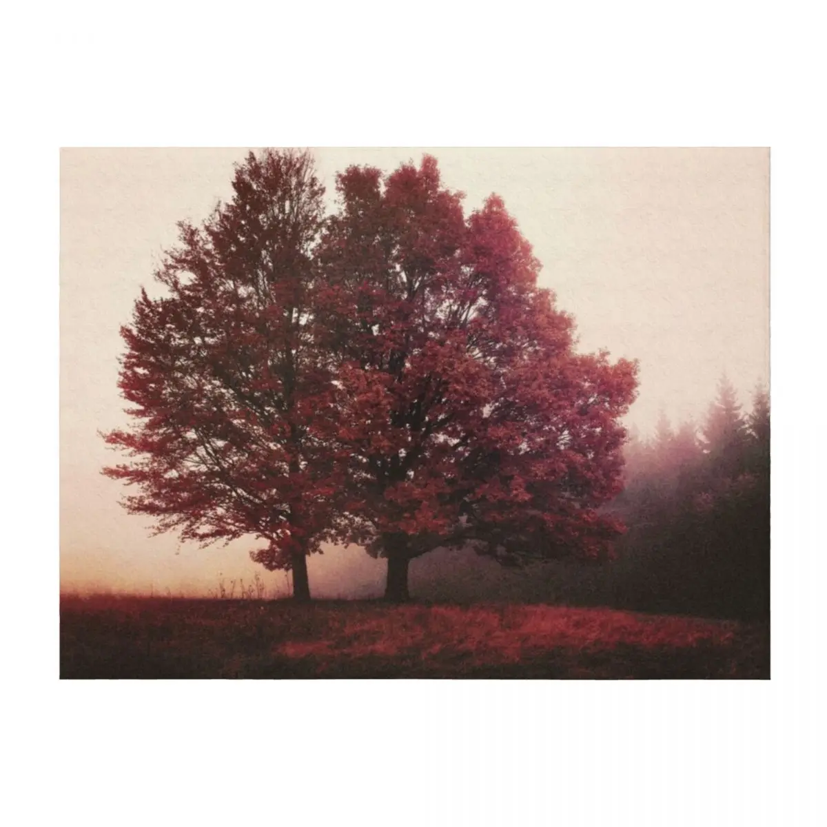 

I Feel You // Misty Romantic Retro Fall Wilderness Fairytale Forest With Trees Covered In Magic Fog Season Throw Blanket