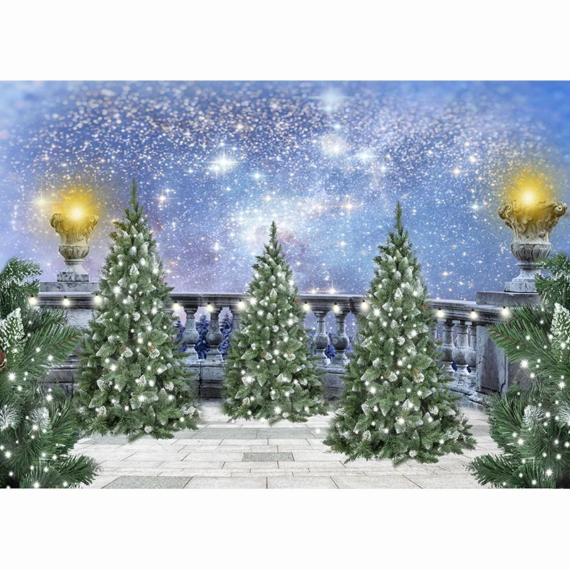 Vinyl Christmas Village Wooden Gate Digital Photography Backdrop Prop  Snow Party Celebration Studio Background DJ-05