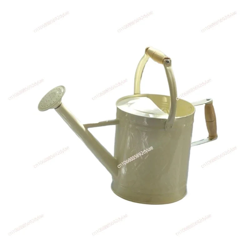 Iron Art Watering Can Growing Vegetables Spray Bottle for Water Large Capacity Horticulture Irrigation for Potted Plants