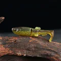 Loach