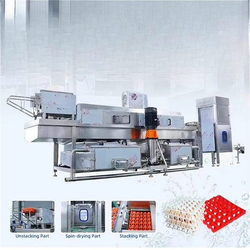 High Precision Paper Egg Tray Forming Machine Consistent Quality Output Customized for Supermarket and Retail Chain Supply Price