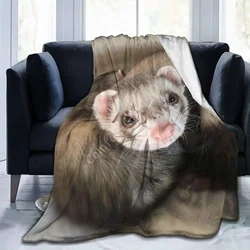 Adult Special Cute Ferret Throw Blanket Fashion Plush Throw Blankets All Season Ultra-Soft Micro Fleece Blanket Kids Gifts