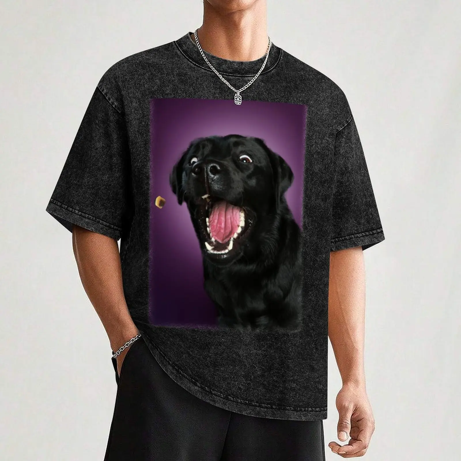 Black labrador catches treats T-Shirt Basic Plain Tee for Spring and Summer
