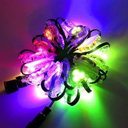 20 Pcs/Lot D30mm Point Light Source WS2811 Addressable Pixel Lights