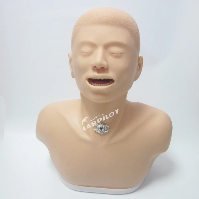 Adulto Traqueotomia Cuidados Enfermagem Simulator, Faringe e Traquéia Ensino Modelo