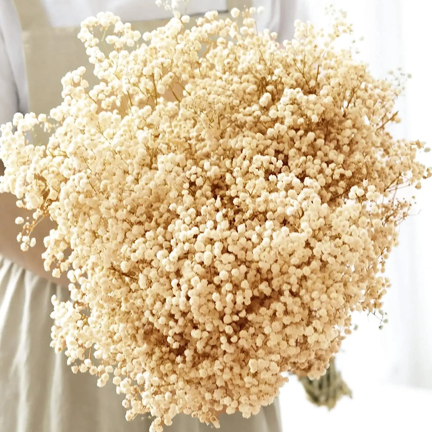 

Gypsophila Natural Fresh Dried Preserved Flowers Eternal Breath Bouquets Valentine's Day Gift Wedding Boho Home Decor Paniculata