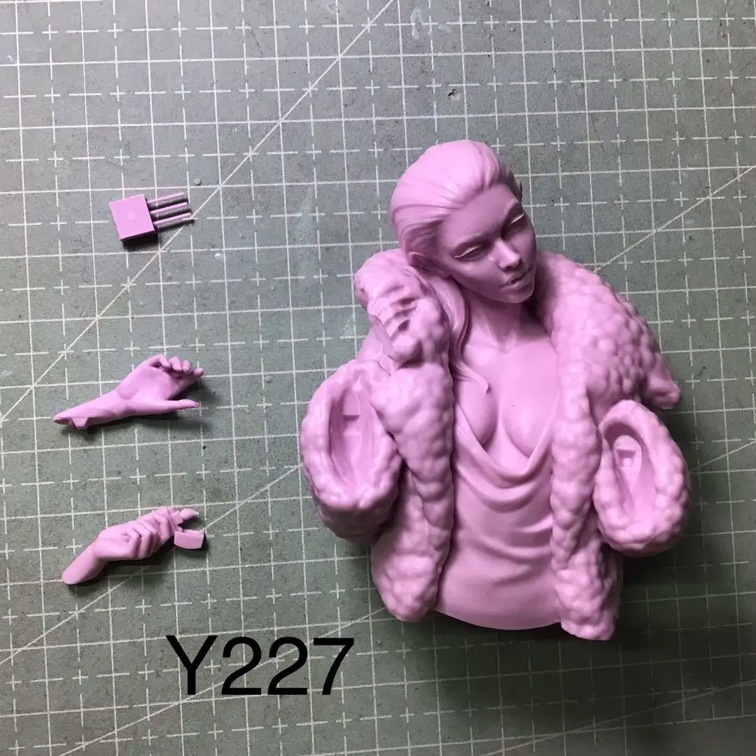 1/10   Resin Model Bust GK，Unassembled and unpainted kit