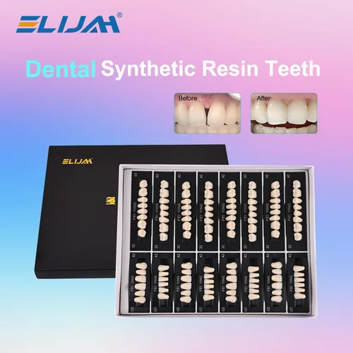 Modelo de enseñanza Dental A2 de tamaño estándar máximo, modelo superior e inferior para reemplazo DIY Halloween