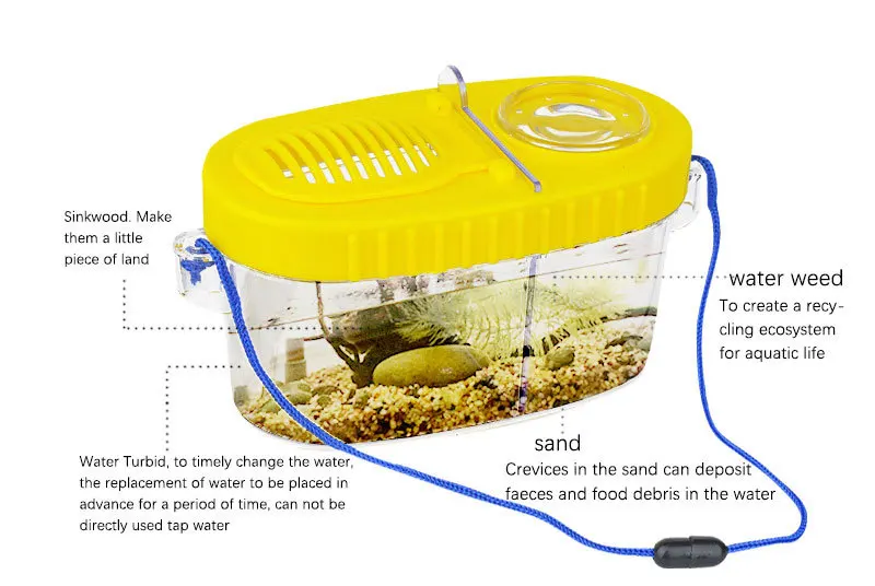 6pcs Outdoor Insect Catching Tool Set for Children Insect Observation Box  Kids Science Nature Exploration Tools Educational Toy