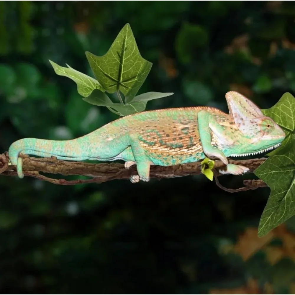 

Reptile Plants Climber Vines Flexible Leaves with Suction Cups Jungle Habitat Decor for Lizard Gecko Snake 2 Set Ornamentos