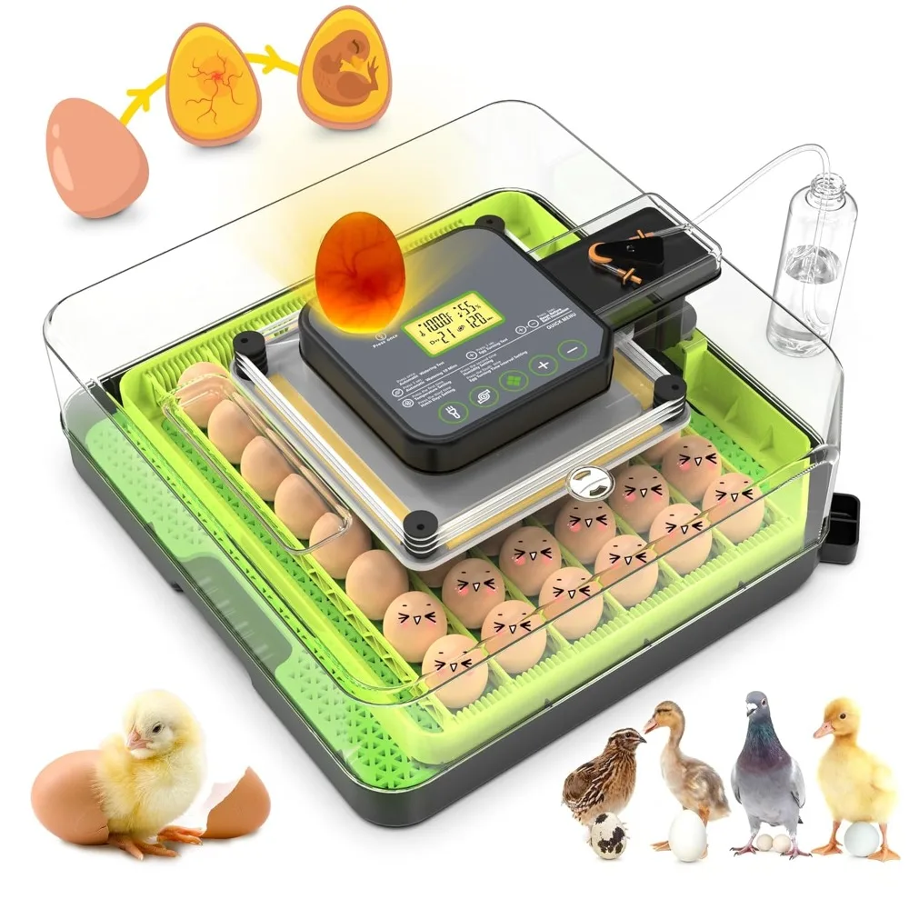 

Automatic Egg Incubator with 360° Panoramic View, Auto Egg Turning and Humidity Control, Suita