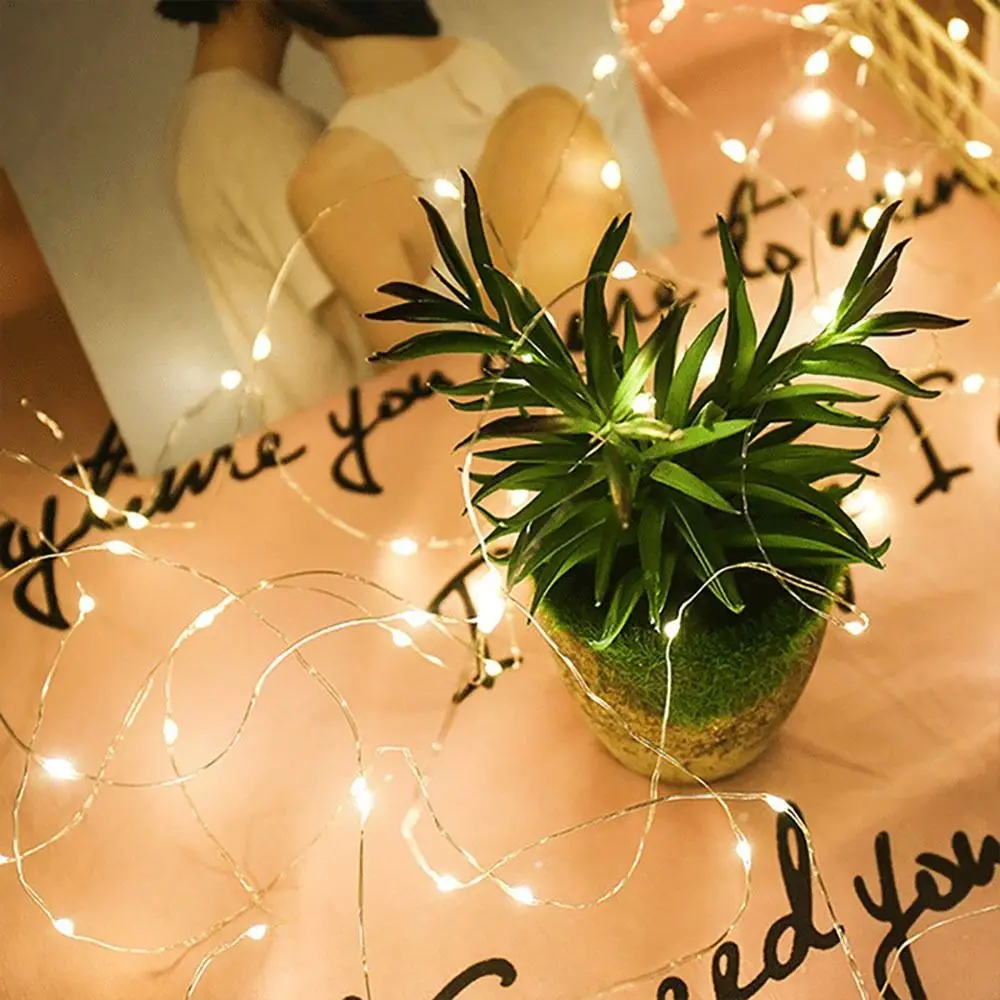 USB LED String Light 1/2/3/5/10M Copper Silver Wire Fairy Light White Colorful 5V Garland Light