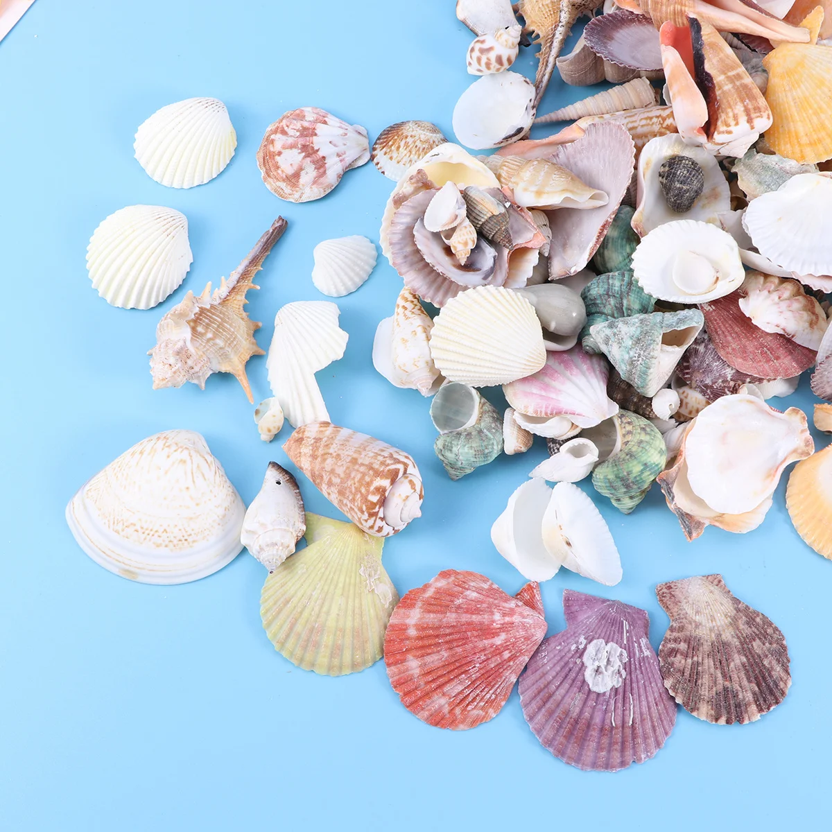 

130Pcs Ocean Decoration Mini Sea Shells Mixed Colorful Exotic Seashells Natural Craft Supplies for Jewelry Making Beach Party