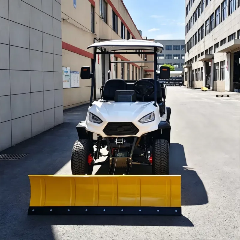 Electric Snow Removal Vehicle with Plow and Remover Cargo Transport CE Certified 90km Range