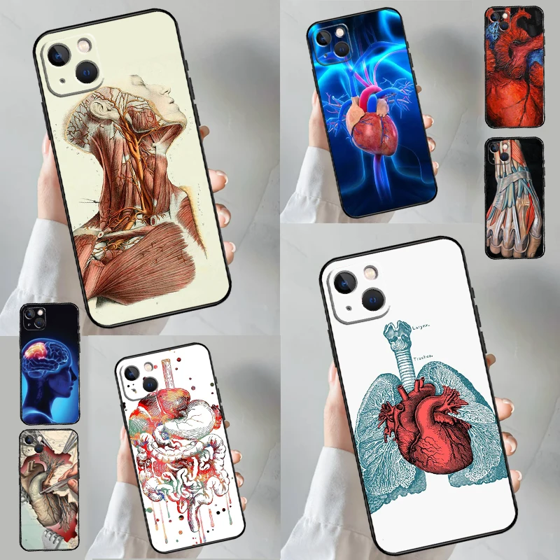 Medical Human Organ… - image