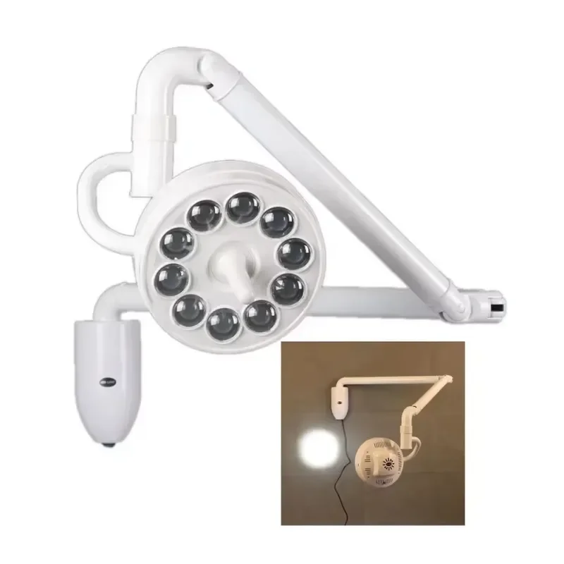 RCW Wall-mounted 30W LED Electric Aluminum Alloy Small Dome Gooseneck Examination Lamp 30000Lux Vet Gynecology Medical Exam
