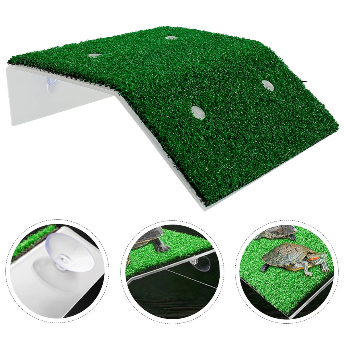 Turtle Climbing Platform Ramp 4