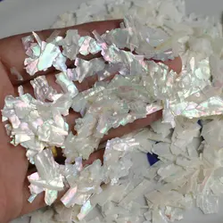5g Abalone Shell Fragments Texture Charms Gradient Ultra-Thin Magic Color Natural Sea Shell Sequins Japanese-style Beauty Tools*