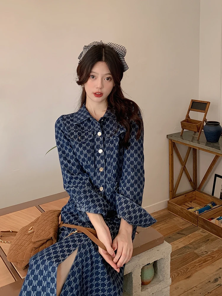 Women Denim Long Dresses Female Lapel Collar Long Sleeve Large Size Elegant A Line Autumn Winter Single-breasted Blue Vestidos