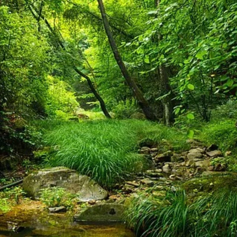 

iFlight RaceCam Mini Night Version FPV камера для RC FPV Racing Drone Quadcopter Модель