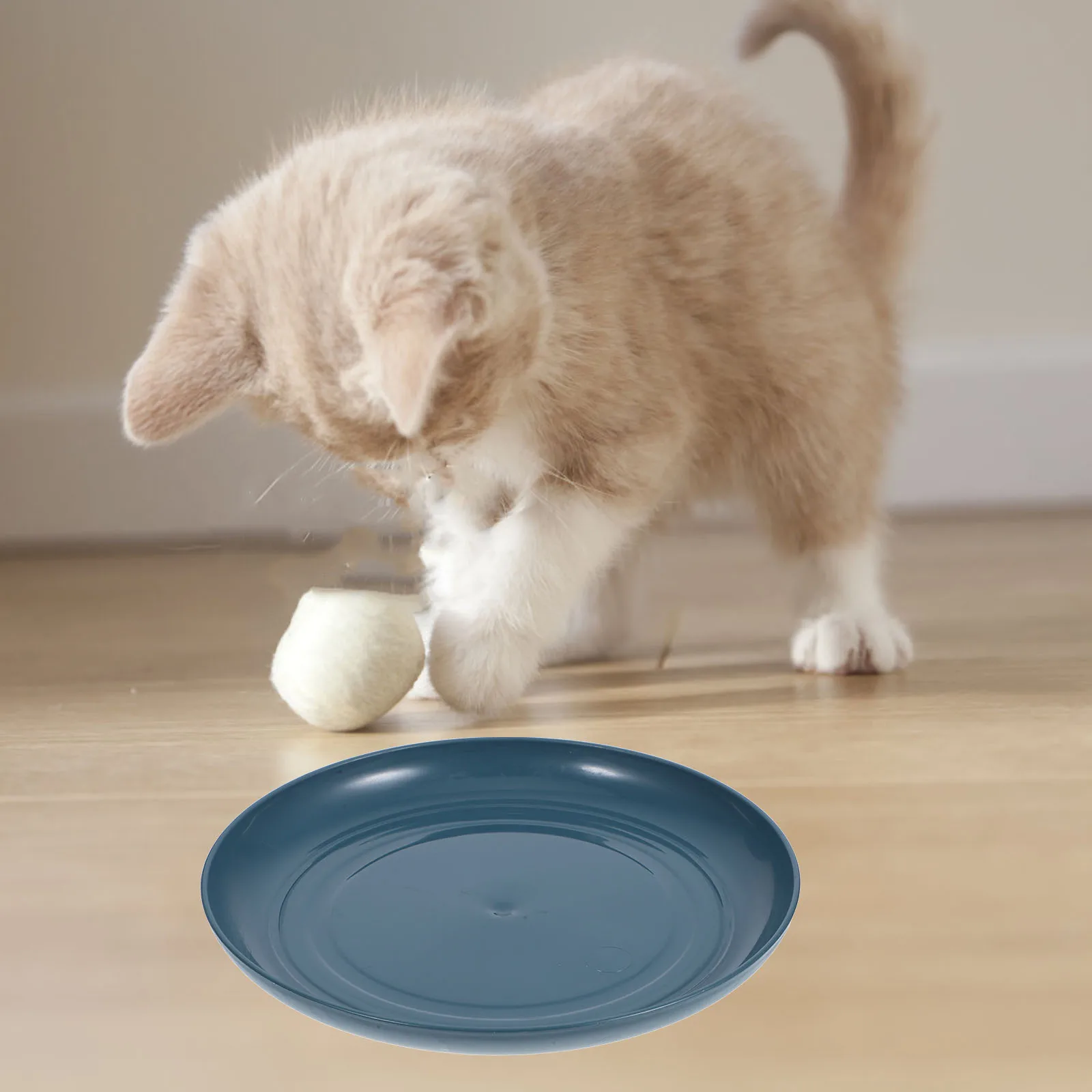 

8pcs Food Cat Bowl Bowl Pet Dishes Square Stable Base Small Cats Short Legs Single Pet Plate Comfort Eating