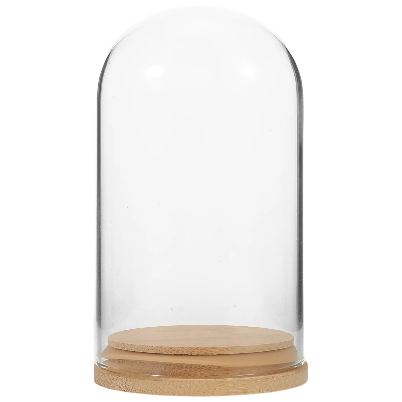 

Plant Terrarium Glass Vase Hydroponic Table Centerpiece Indoor Display Dome Bell Jar Micro Landscape Bottle Dustproof Cover