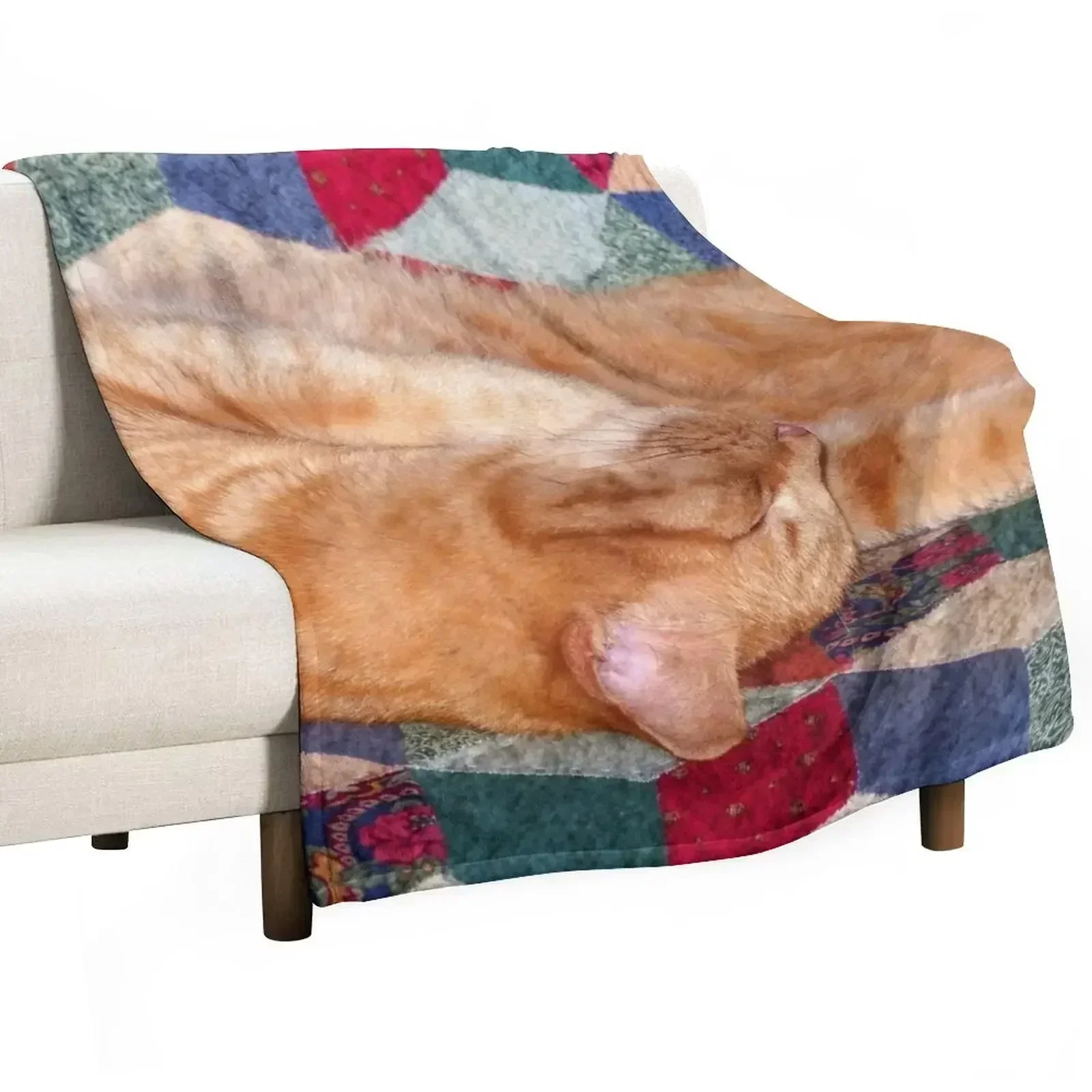 Ginger Cat Napping Throw Blanket Plush Decorative Throw Blankets For Bed Sofas christmas gifts Soft Plaid Blankets