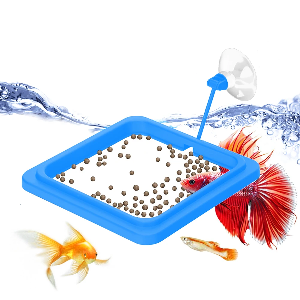 Fish feeding circle aquarium square floating fish food feeder ring with strong suction cup fish tank feeding circle