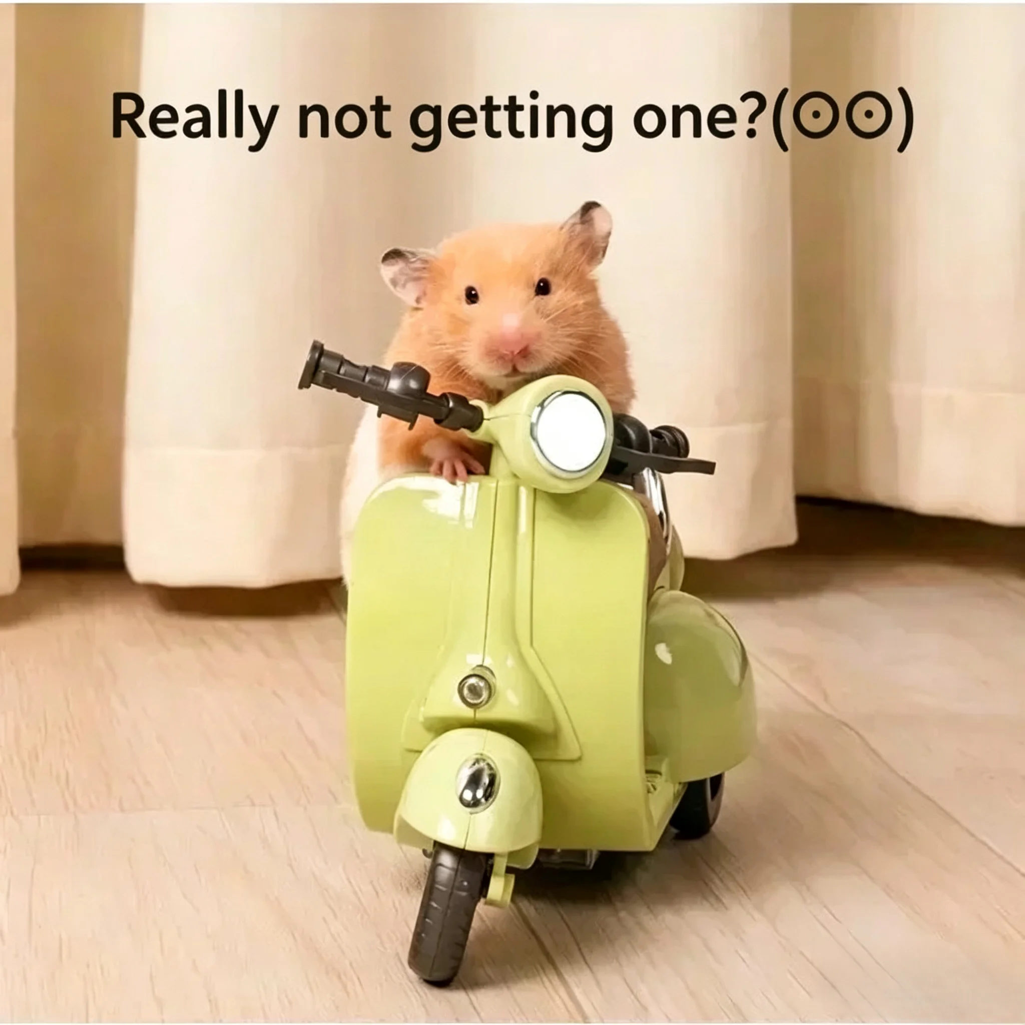 Hamster Scooter Toy | 360° Stunt Rotation Electric Mini Motorcycle Pet Riding Toy Viral Hot Selling