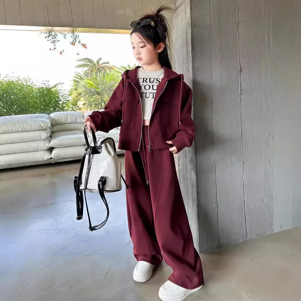 Girls Suits 2024 Autumn New Childrens Clothes Girls Baby Foreign Style Hooded Coat Two Pieces Sweatpants Casual Simple Fashion image 4