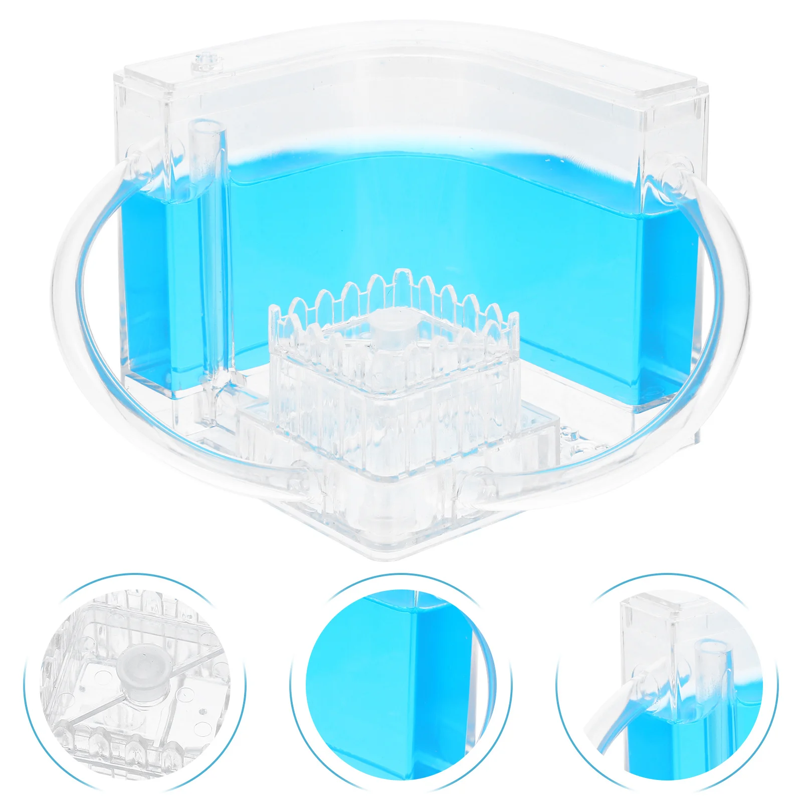 

Farm Castle With Sand Tools For Kids Science Learning Stem Educational Ant Terrarium Ant Farm For Kid Insect Habitat