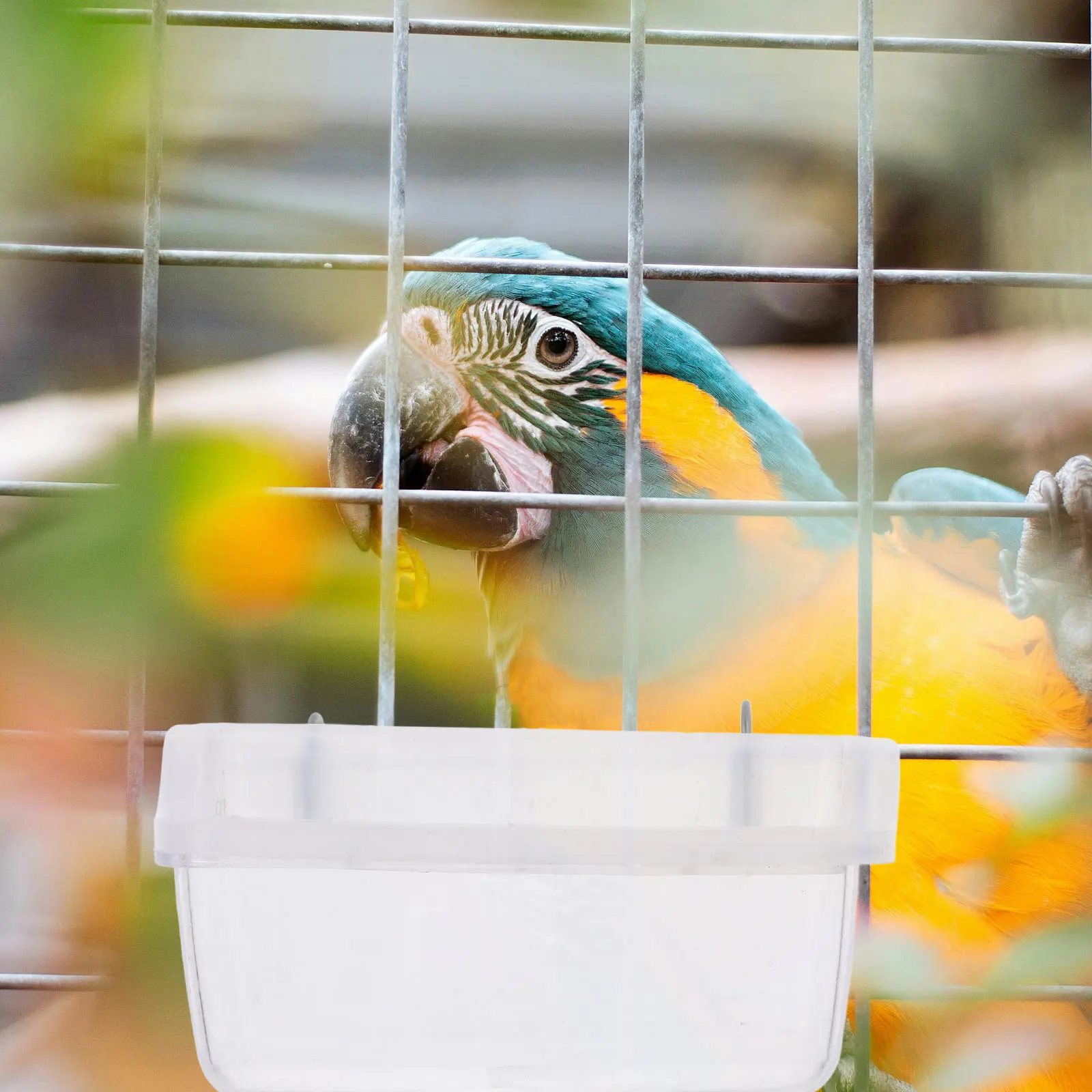 

Splashproof Parrot Feeder White Abs Bird Cage Accessories Transparent Food Container for Cockatiels Easy Clean Durable Material