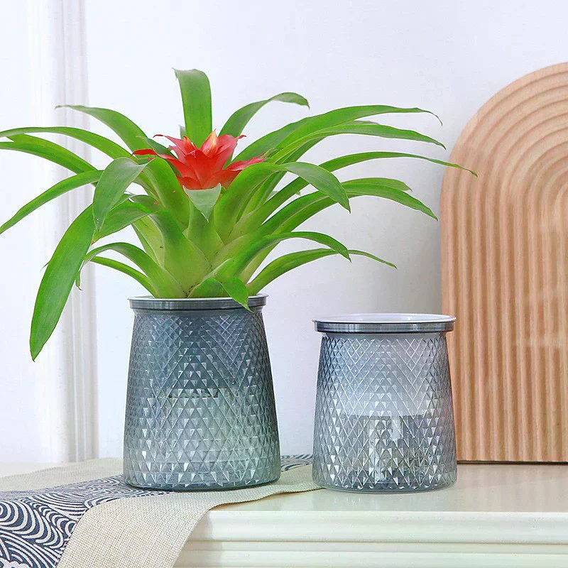 Self Watering Plant Pot Transparent Plastic Flower Vase Double-layer Automatic Lazy Potted Hydroponic Pot Garden Home Dector