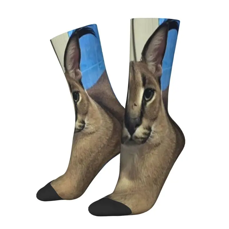 Cool Big Floppa Funny Meme Socks Women Men Warm 3D Print Caracal Cat Sports Football Crew Socks